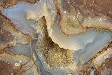 Polished Thunderegg Half - Oregon #378196-1